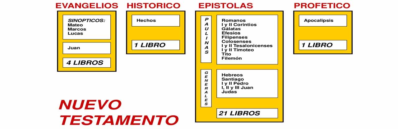 Mateo Linea de tiempo
